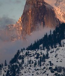 UNCLE ERNIE'S MIX-IT-UP LX 59a96635e3dc7.jpg