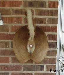 UNCLE ERNIE'S MIX-IT-UP LX 59a9665e5ce14.jpg