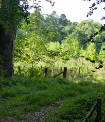 UNCLE ERNIE'S MIX-IT-UP LX 59a966f8bc213.jpg