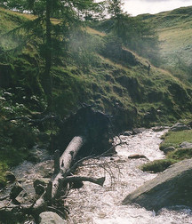 UNCLE ERNIE'S MIX-IT-UP LX 59a9681963dba.jpg