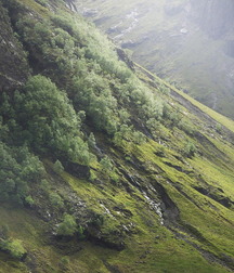 UNCLE ERNIE'S MIX-IT-UP LX 59a968e3a75b3.jpg