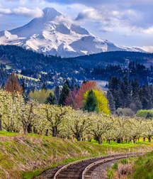 UNCLE ERNIE'S MIX-IT-UP LXII 59a9ed82e4199.jpg