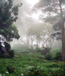 UNCLE ERNIE'S MIX-IT-UP LXII 59a9ed8db0162.jpg