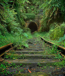 UNCLE ERNIE'S MIX-IT-UP LXII 59a9ed9b7960f.jpg