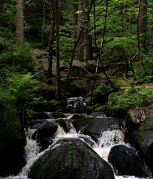 UNCLE ERNIE'S MIX-IT-UP LXII 59a9eef8dcb86.jpg