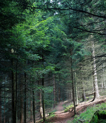 UNCLE ERNIE'S MIX-IT-UP 59a9fab9c3717.jpg