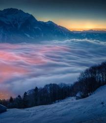 UNCLE ERNIE'S MIX-IT-UP 59a9fb049105b.jpg