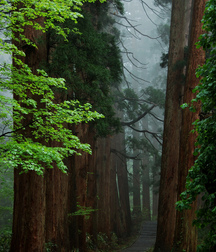 UNCLE ERNIE'S MIX-IT-UP 59a9fb4a52c0a.jpg