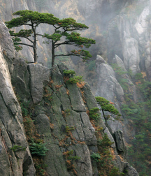 UNCLE ERNIE'S MIX-IT-UP 59a9fd26600c3.jpg