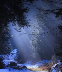 UNCLE ERNIE'S MIX-IT-UP 59aa009c8407c.jpg