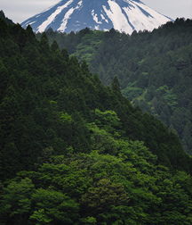 UNCLE ERNIE'S MIX-IT-UP 59aa00fee509f.jpg