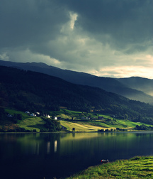 UNCLE ERNIE'S MIX-IT-UP 59aa014477b5d.jpg