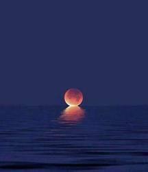 UNCLE ERNIE'S MIX-IT-UP 59aa025995e2a.jpg