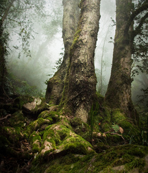 UNCLE ERNIE'S MIX-IT-UP 59aa030bbf9f3.jpg