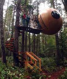 Uploaded by:UncleErnie 59b3157cbd9fd.jpg