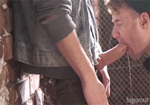 ERNIE'S MIX-IT-UP XCIX 59b571765ffe6.gif