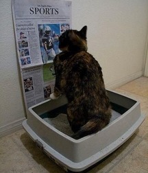 ERNIE'S MIX-IT-UP CXI 59b93495977c2.jpg