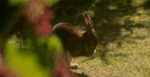 ERNIE'S MIX-IT-UP CXIII 59b9a99508d4b.gif