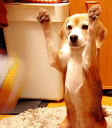 ERNIE'S MIX-IT-UP CXXII 59bd35929caa2.gif