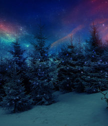 Uploaded by:UncleErnie 59c2ff9d144e8.jpg