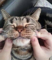 ERNIE'S MIX-IT-UP 59c6aa4768f1c.jpg