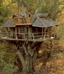 Uploaded by:UncleErnie 59e7e313c3f6e.jpg