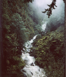 Uploaded by:UncleErnie 59e7e4eb3f718.jpg