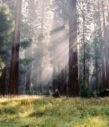 Uncle Ernie's Boner Makers 3 59e7edd5c0f2a.jpg