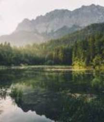 Uncle Ernie's Boner Makers 3 59e7ee74f07b5.jpg