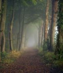 Uncle Ernie's Boner Makers 3 59e7eedacc536.jpg