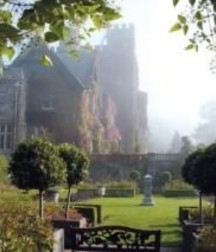 Uncle Ernie's Boner Makers 3 59e7eedc068cb.jpg