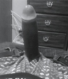 Uncle Ernie's Boner Makers 4 59e7f610877cf.jpg