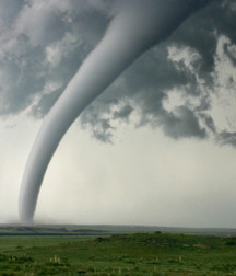 Uncle Ernie's Boner Makers 5 59e8a0626930a.jpg