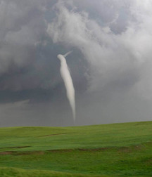 Uncle Ernie's Boner Makers 5 59e8a142a3291.jpg