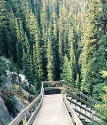 Uncle Ernie's Boner Makers 5 59e8a15f6ac48.jpg