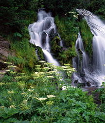 Uncle Ernie's Boner Makers 5 59e8a2b7460d5.jpg