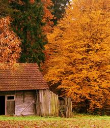 Uncle Ernie's Boner Makers 5 59e8a40f913db.jpg