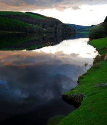 Uncle Ernie's Boner Makers 6 59e8a72ab7a66.jpg