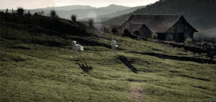 Uncle Ernie's Boner Makers 7 59e92998ad305.gif