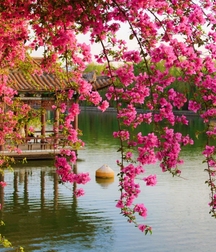 Uploaded by:UncleErnie 59e92cd8bde2b.jpg