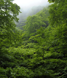 Uploaded by:UncleErnie 59e92d957be44.jpg