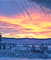 Uploaded by:UncleErnie 59e92fbc85e38.jpg