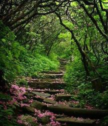 Uncle Ernie's Boner Makers 9 59e93427e332c.jpg