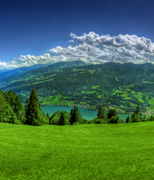 Uncle Ernie's Boner Makers 9 59e934a909bd2.jpg