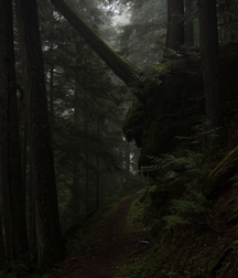 Uncle Ernie's Boner Makers 9 59e9354b37cb4.jpg