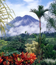 Uncle Ernie's Boner Makers 9 59e9366fc9b91.jpg