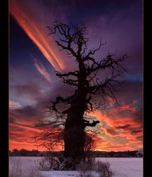 Uncle Ernie's Boner Makers 9 59e936ebad53a.jpg