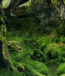 Uncle Ernie's Boner Makers 9 59e937ff20b5b.jpg