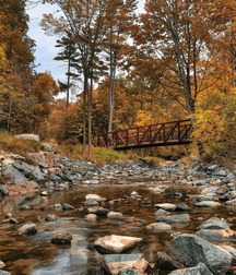 Uncle Ernie's Boner Makers 9 59e9391eb424b.jpg