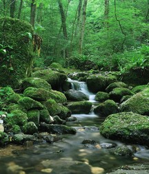 Uncle Ernie's Boner Makers 9 59e93970e83b3.jpg